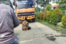 Anggota DPRD Bogor Duduk di Tengah Jalan Mengadang Truk Tambang