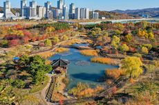 Korea Bukan Hanya Seoul, Ini 3 Destinasi yang Tawarkan Pengalaman Autentik