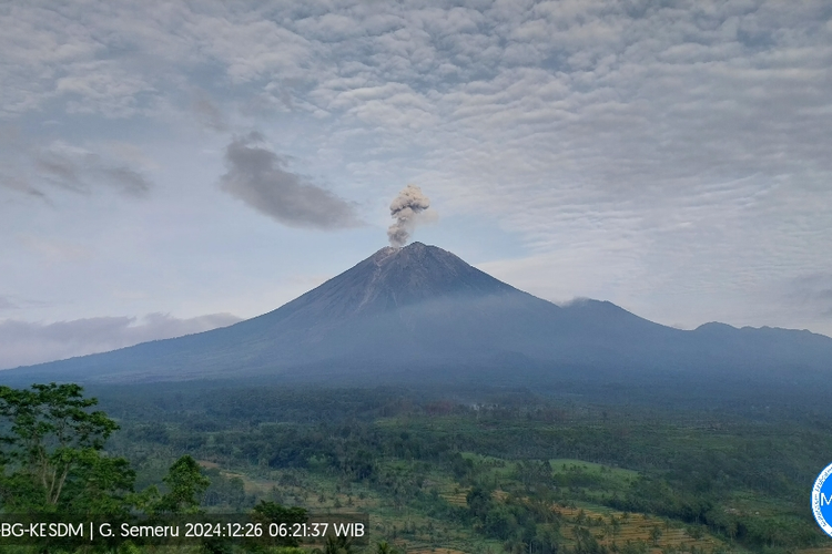 Gunung Semeru Erupsi 4 Kali, Kolom Abu Capai 1.100 Meter