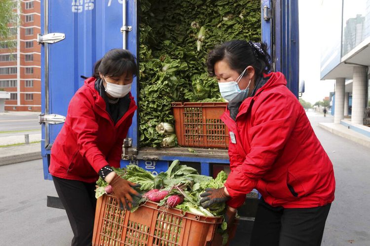 Karyawan toko sayur di Mirae Scientists Street membawa kubis untuk dipasok ke penduduk yang tinggal di rumah saat negara meningkatkan langkah-langkah untuk menghentikan penyebaran penyakit di Pyongyang, Korea Utara Senin, 16 Mei 2022. 