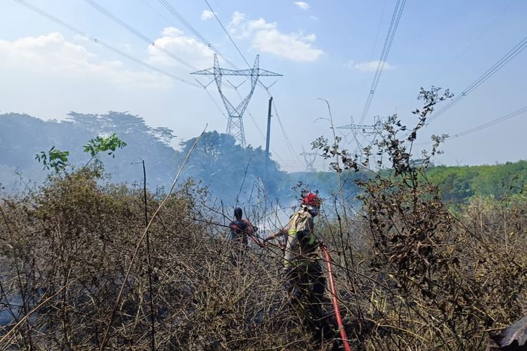 Petugas Damkar Kabupaten Semarang menyemprotkan air ke lahan yang terbakar