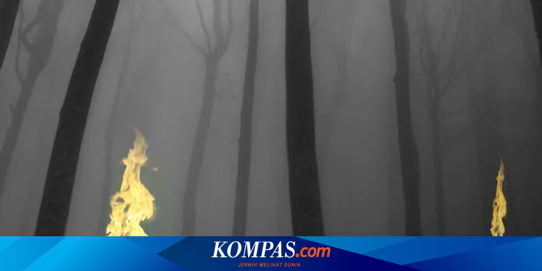 Sebuah studi yang dipublikasikan di Proceedings of the National Academy of Sciences (PNAS) menjelaskan bahwa cahaya tersebut muncul akibat gas metana (CH?) dan fosfin (PH?) yang dihasilkan dari pembusukan materi organik. | #Banaspati