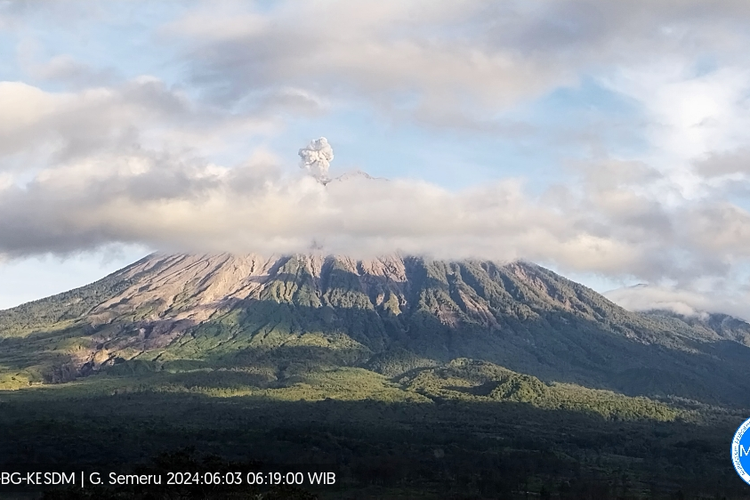 Gunung Semeru keluarkan leyusan asap setinggi 800 meter, Senin (3/6/2024)