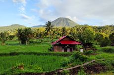 Jalur Pendakian Gunung Lokon Tutup Sementara