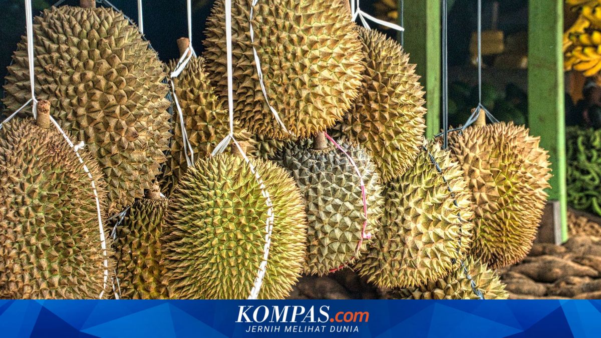 Malaysia "Tsunami" Durian, Pemerintah Cari Solusi ke China