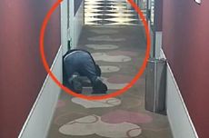 Pria Ini Berjongkok Dengarkan Suara Pasangan Berhubungan Seks di Kamar Hotel