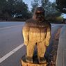Seorang Anggota Parlemen Oklahoma Usulkan Musim Berburu 'Bigfoot'