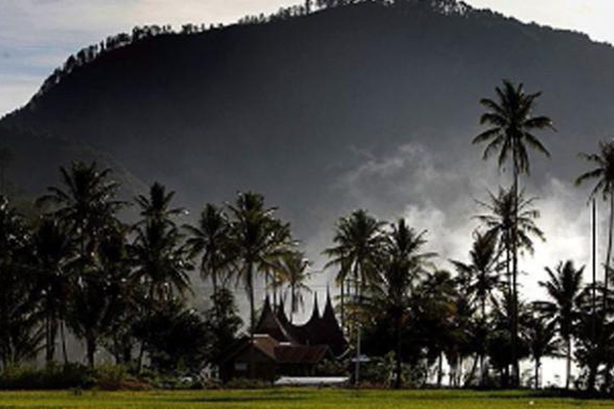 Deretan pohon kelapa menaungi rumah Gadang di Baso, Agam, Sumatera Barat, Rabu (10/7). Kelapa menjadi kebutuhan utama dalam berbagai masakan khas Minangkabau yang rata-rata menggunakan santan.