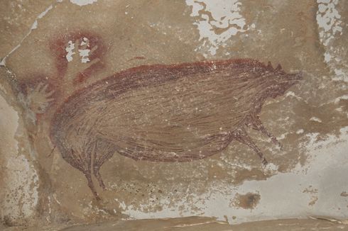 Lukisan Goa Tertua di Dunia Ditemukan di Sulawesi, Berusia 45.500 Tahun