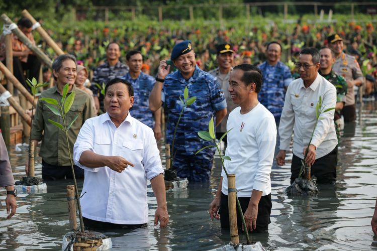 Menteri Pertahanan Prabowo Subianto dan Presiden Joko Widodo (kiri ke kanan) saat acara puncak penanaman mangrove serentak seluruh Indonesia yang digelar Tentara Nasional Indonesia di Taman Wisata Alam Kapuk Angke, Jakarta, Senin (15/5/2023).