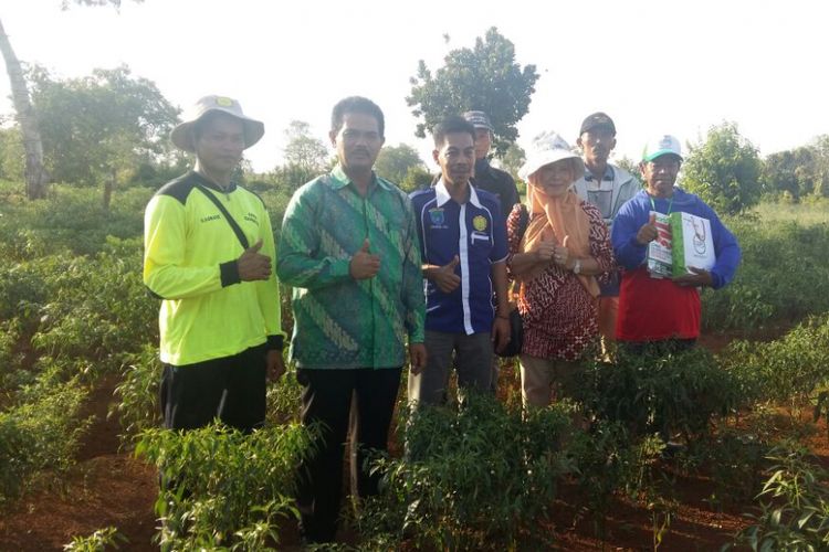 Kementerian Pertanian memantau produksi cabai di Provinsi Sumatera Selatan menjelang bulan Ramadhan. Produksi cabai Sumatera Selatan dipasok ke Pasar Induk Jakabaring dan pasar lainnya di Pulau Sumatera.