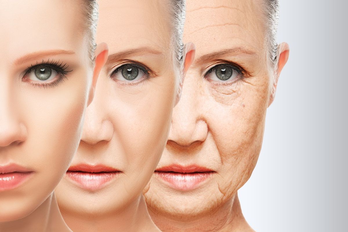 Ilustrasi wajah, penuaan kulit. Semakin tua, wajah jadi semakin tidak simetris.