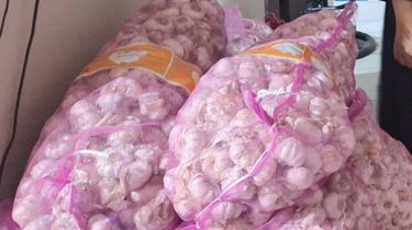 Dua Perempuan Kuras Toko Keluarga Sendiri, Puluhan Karung Bawang Digondol Dini Hari