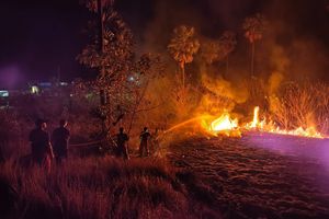 Kebakaran Sabana Labuan Bajo Meluas, Petugas Fokus Padamkan Api Dekat Hotel