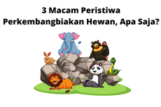 3 Macam Peristiwa Perkembangbiakan Hewan, Apa Saja?