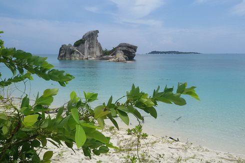 Sinergi Pariwisata, Ratusan Anakan Cumi Dilepas di Laut Bangka