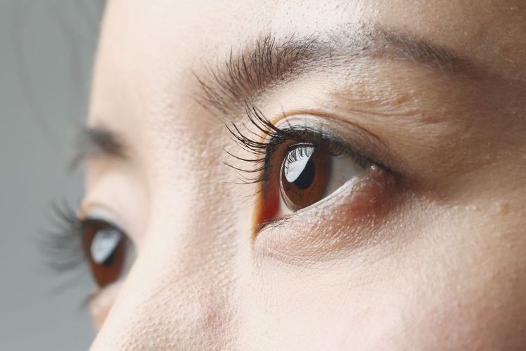 Apa yang Dimaksud Retina Mata? Ini Penjelasannya
