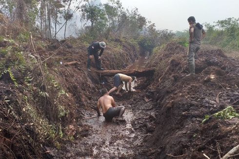 Demi Padamkam Karhutla, Anggota Satpol PP Masuk ke Kanal Berlumpur Mencari Air