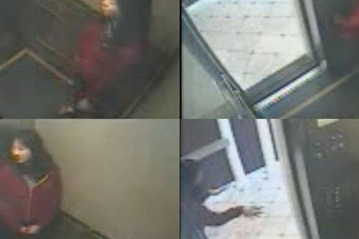 elisa lam Misteri Rekaman CCTV Misterius Hilangnya Elisa Lam di Lift Hotel LA