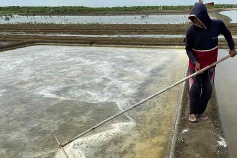 Tak Semua Pantai di Indonesia Dapat Memproduksi Garam, Ini Sebabnya