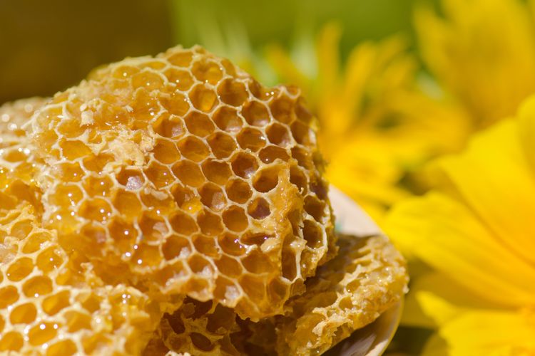 Ilustrasi honeycomb