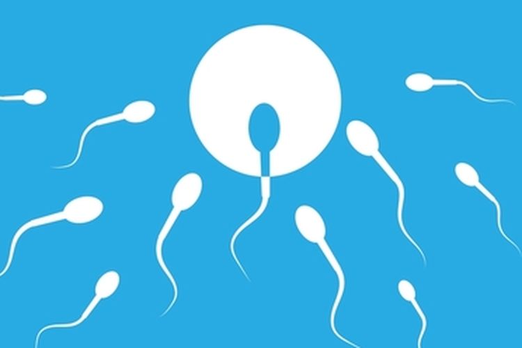 Ilustrasi sperma encer, sperma encer apakah sulit punya anak.