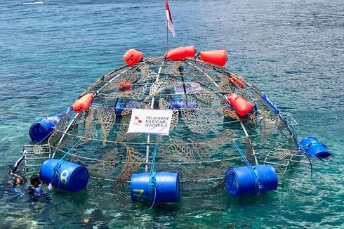 Klarifikasi Yayasan Terumbu Rupa tentang Karang Rusak di Pantai Jikomalamo