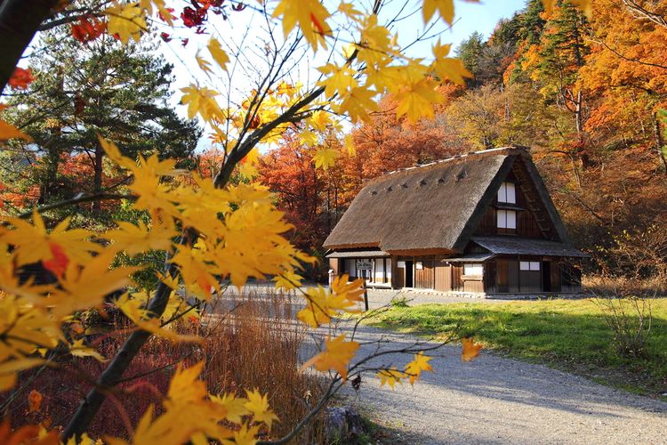 Shirakawa go di Jepang yang masuk dalam World Heritage UNESCO. 