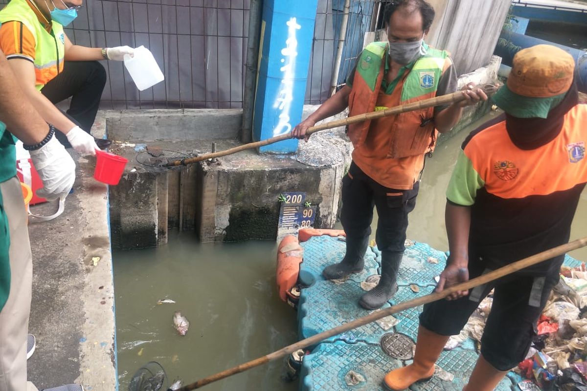 Suku Dinas Lingkungan Hidup (LH) Jakarta Utara melakukan pengambilan sampel air Kali Ancol pada Selasa (30/3/2021).