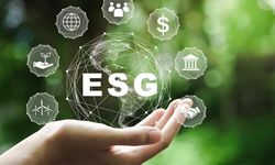 Survei Bloomberg Sebut Investor Percaya dengan Masa Depan Investasi ESG