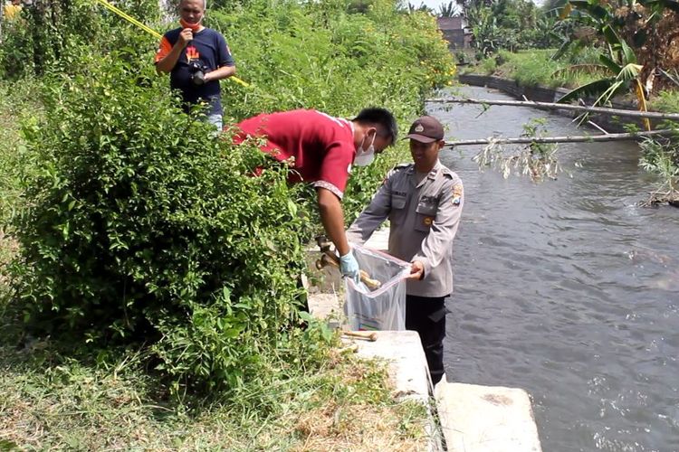Polisi evakuasi tulang belulang manusia dari Sungai Belem Lumajang, Kamis (1/6/2023)