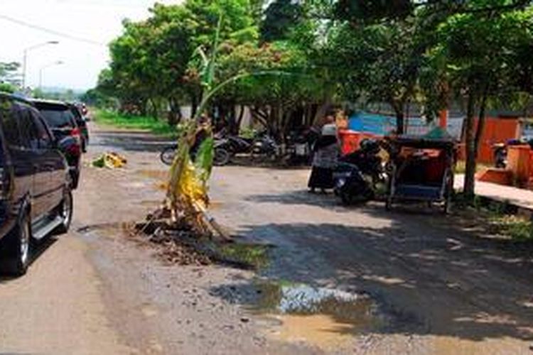 Kutawis di Kabupaten Purbalingga, Jawa Tengah, Minggu (17/2/2013) yang rusak cukup parah di depan kantor pos Bukateja. Sebagai bentuk protes, warga menandai kerusakan itu dengan tanaman pisang. Kerusakan jalan di jalur selatan Jateng dipicu hujan deras yang terus mengguyur serta kendaraan dengan tonase berlebih yang terus melintas. 

