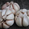 Cara Menyimpan Bawang Putih agar Tetap Segar dan Tahan Lama