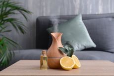 6 Cara Melembapkan Udara di Rumah Tanpa Humidifier