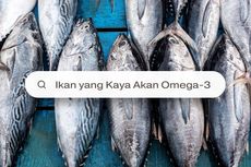 10 Jenis Ikan dengan Kandungan Omega-3 Tinggi