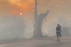 Kemenhut Akan Usut Penyebab Karhutla Kalimantan, Pelanggaran Akan Diproses Hukum