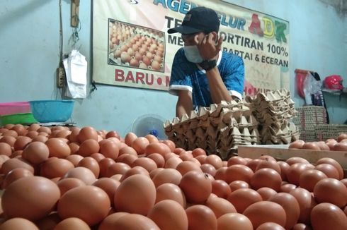 Minggu Kedua Bulan Juni Harga Telur Capai Rp 29.000 Per Kilogram, Berikut Harga Kebutuhan Pokok yang Naik