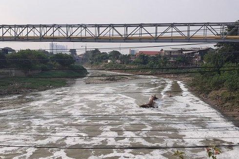 Pemkot Bekasi Bentuk Tim Tangani Kali Bekasi yang Berbusa dan Keluarkan Bau Menyengat