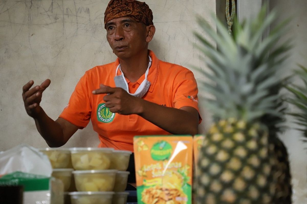 Petani nanas di Desa Sarireja, Kecamatan Jalancagak, Kabupaten Subang, Jawa Barat (Jabar) naik kelas berkat program CSR budidaya dan pengolahan nanas Pupuk Kujang Cikampek bernama Kampung Nanasku sejak 2018. 