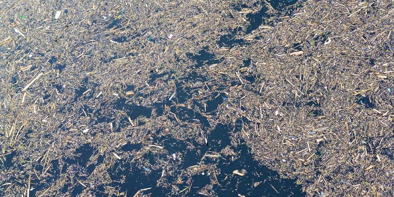 Foto udara sampah dari kayu gelondongan yang hanyut di danau Singkarak di Nagari Muaro Pingai, Kabupaten Solok, Sumatera Barat, Minggu (30/11/2025). Menteri LH Panggil 8 Perusahaan Imbas Gelondongan Kayu di Banjir Sumatera