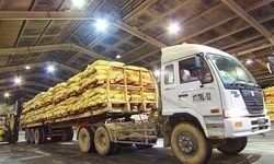  Dukung Petani, Kementan Siapkan Stok Pupuk Subsidi 3 Kali Lipat