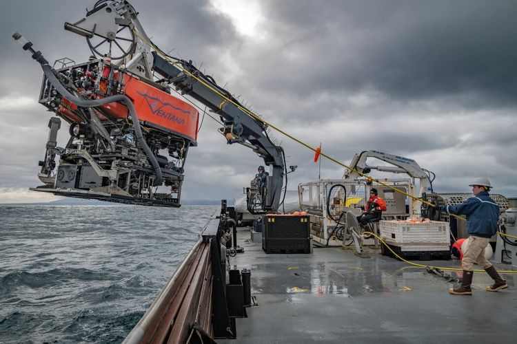 Remotely operated vehicle (ROV) untuk menangkap hewan laut dalam. (Dok. Monterey Bay Aquarium, California)
