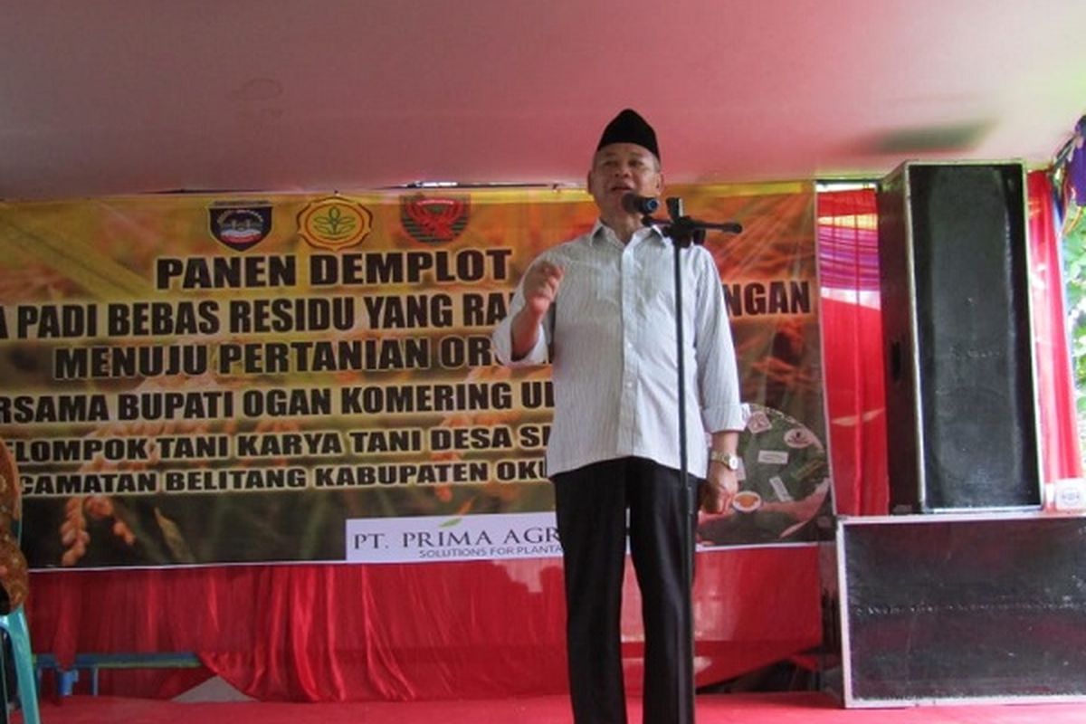 OKU Timur menjadi contoh keberhasilan panen padi lewat pupuk dan pestisida berbahan organik