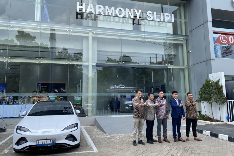 BYD Harmony Slipi