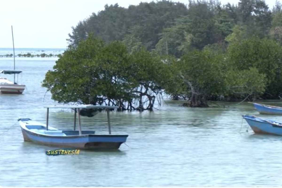 Pulau Pari di Kepulauan Seribu, Jakarta.  Tangkapan layar SUSTENESIA KompasTV episode Benteng Iklim Negeri Maritim
