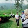 Kebun Teh Pagilaran di Batang: Daya Tarik, Harga Tiket Masuk, dan Rute