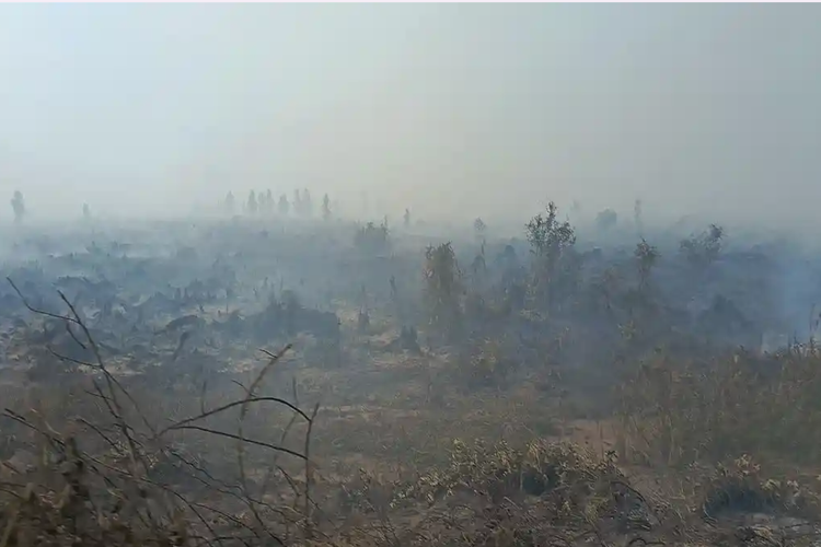 Pemprov Kalbar Kerahkan 3 Pesawat Modifikasi Cuaca, Disiagakan di Pontianak dan Ketapang