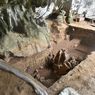 Proses Panjang Penemuan Tulang Rahang Manusia Prasejarah Tertua di Sulawesi