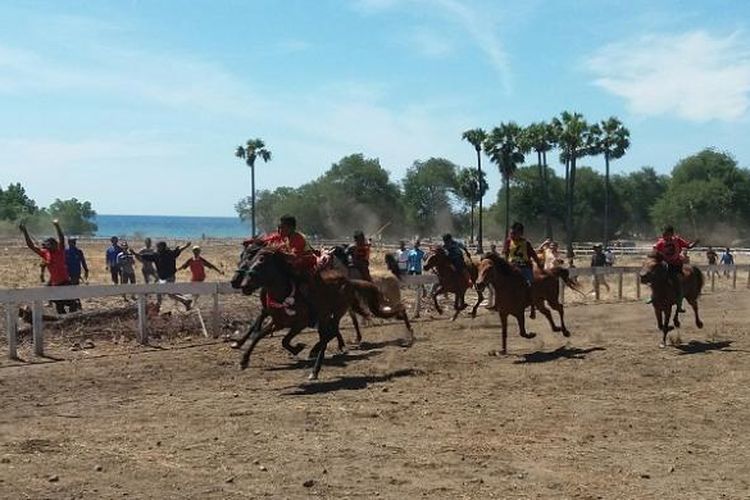 Menonton pacuan kuda di pinggir Pantai Tanjung Bastian, Kabupaten Timor Tengah Utara, Nusa Tenggara Timur, dari pinggir arena, Minggu (7/8/2016) .