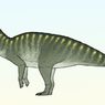 Peneliti Temukan Spesies Baru Dinosaurus Berparuh Bebek, Taleta taleta